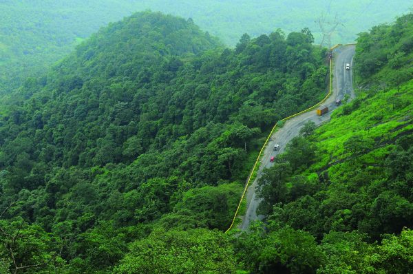 kerala nature (2)