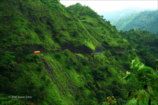 kerala nature (3)
